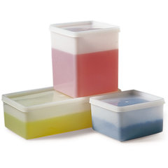 Rotilabo®-deep freeze boxes, PE, L 208 x W 208 x H 94 mm, 3200 ml, 5 unit(s)