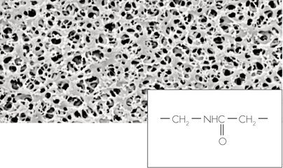 Nylon membrane filters, 0.2 µm, 47 mm, 100 unit(s)