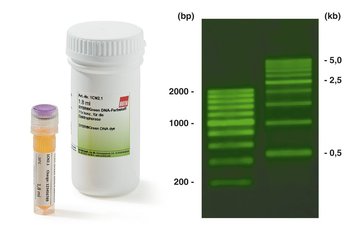 SYBR Green DNA dye,, for electrophoresis, ready-to-use, 9.0 ml, plastic