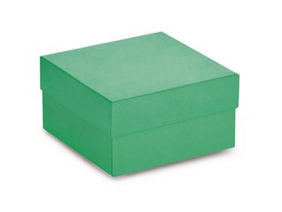 ROTILABO® cardboard cryo boxes, green, Water-repellant, L 133 x W 133 x H 50 mm