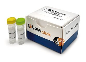 ClickTech Oligo Link Kit, Range Oligonucleotide From 1 nmol to 90 nmol, 1 kit