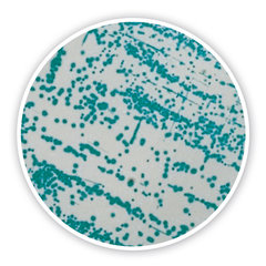 Cronobacter chromogenic Agar, ISO 22964,2017, for microbiology, 100 g, plastic