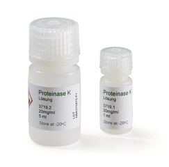 Proteinase K - Solution, 20 mg/ml, sterile, ready-to-use, 5 ml, glass