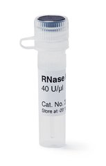 RNAse Inhibitor, 40 U/µl,, for Biochemistry and Molecular Biology, 50 µl