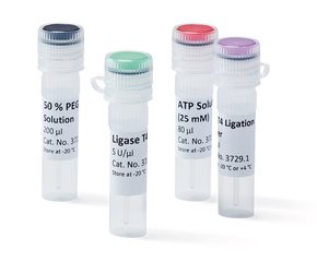Ligase T4, 5 U/µl, for Molecular Biology, 100 µl, plastic