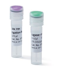 Ligase Tth, 5 U/µl, for Molecular Biology, 500 µl, plastic