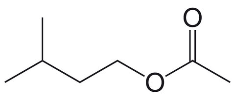 Acetic acid isoamyl ester, min. 98 %, extra pure, 10 l, tinplate