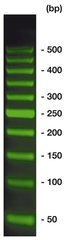 50 bp-DNA-Ladder SYBR Green,, ready-to-use, pre-dyed, 500 µl, plastic