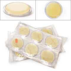ROTI®ContiPlate TSA, ready-to-use, sterile, for microbiology, 30 unit(s), box