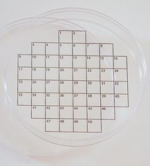 PetriStickerTM, square grid, 50 arrays, 36 unit(s)