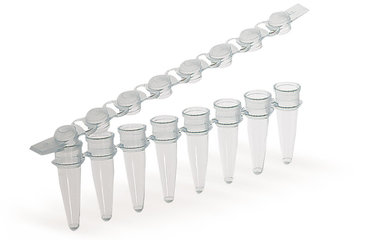 PCR-strips 8 tubes, PP, blue, with attached lid, 125 unit(s)