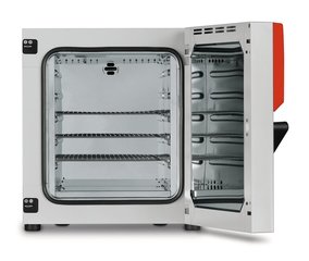 Heating-/drying ovens ED 56,, 57 l, natural convection, 1 unit(s)