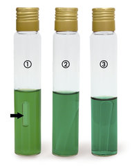Brilliant Green Bile Broth, DIN 10172, ISO 4832, ISO 11133, 500 g, plastic