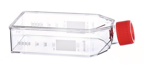 Cell culture bottles 250 ml, PS, sterile, 120 unit(s)