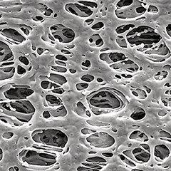 PES-membrane filter, white/smooth, Ø 13 mm, pore size 0.22 µm, 100 unit(s)