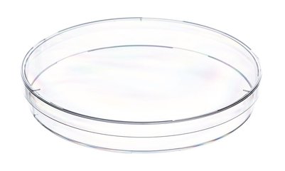 Petri dishes, unsterile, with ventilating cam, Ø 145 mm, H 20 mm, 120 unit(s)
