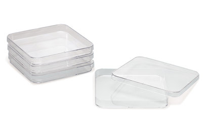 Quadratic petri bowls, PS, sterile, L 120 x W 120 x H 17 mm, 240 unit(s)
