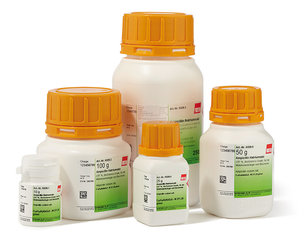 Ampicillin sodium salt, min. 97 %, BioScience-Grade, 100 g, plastic