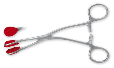 Grasping forceps, curved, stainless steel, 170 mm, 1 unit(s)