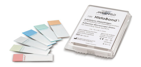 Histobond®+ slides, silanized glass surf., 76 x 26 mm, blue, 100 unit(s)