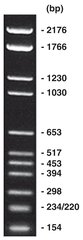 pBR328 Mix I, DNA-marker (lyophil.), 50 µg, plastic