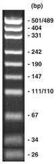 pUC19/Msp I, DNA-marker + gel loading buffer, 200 µg, plastic