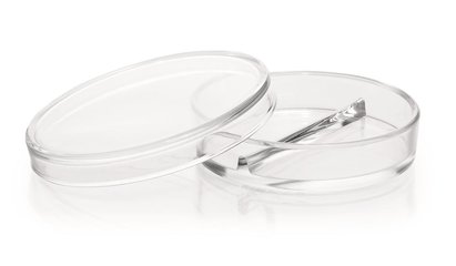 Petri dishes with partitions, DURAN®, Ø 100 x H 20 mm, with 2 partitions