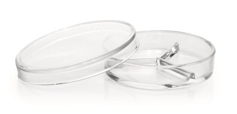 Petri dishes with partitions, DURAN®, Ø 100 x H 20 mm, with 3 partitions