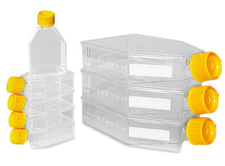 Tissue culture bottles, PS, sterile, L 90 x W 50 x H 25 mm, 60 ml, 360 unit(s)