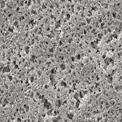 Nylon membrane filter, pore size 0,45 µm, membrane Ø 25 mm, 100 unit(s)