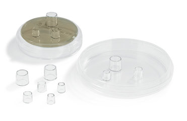 Clone cylinder - size M, PS, sterile, medium, 50 unit(s)