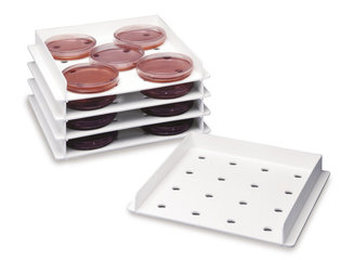 Incubator inserts, PP, stackable, 251 x 237 x 35 mm, 3 unit(s)