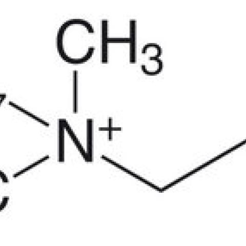 N-Octyl-N,N-dimethyl-3-ammonio-1-propansulfonat, 5 g