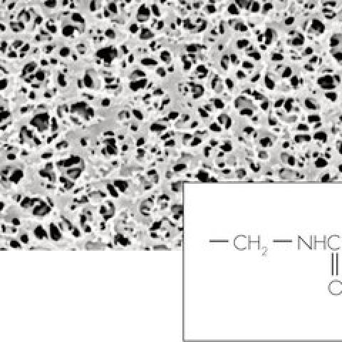 Nylon membrane filters, 0.2 µm, 25 mm, 100 unit(s)