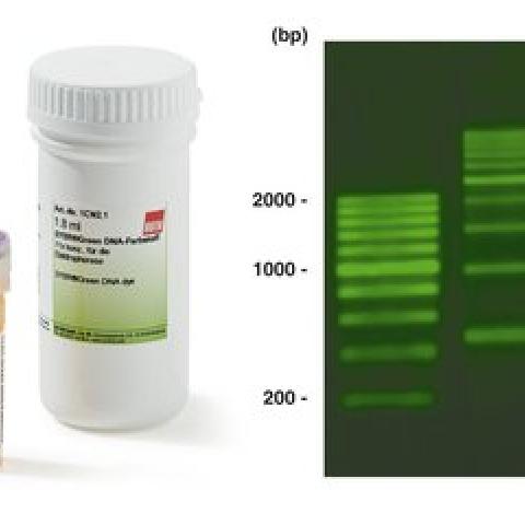 SYBR Green DNA dye,, for electrophoresis, ready-to-use, 1.8 ml, plastic