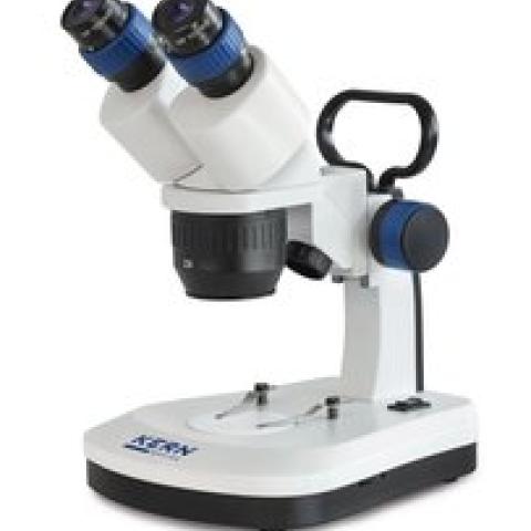 Stereo microscope OSE-421, Binocular, 20x, 40x, 1 unit(s)
