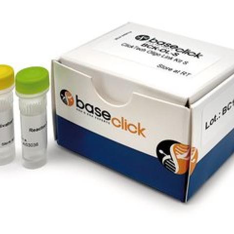 ClickTech Oligo Link Kit, Range Oligonucleotide From 70 pmol to 22 nmol, 1 kit