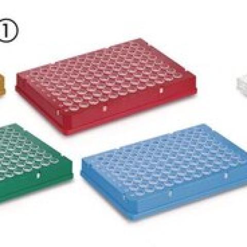 Rigid frame 96 well PCR plate, Low, frosted, whole frame, 50 unit(s)