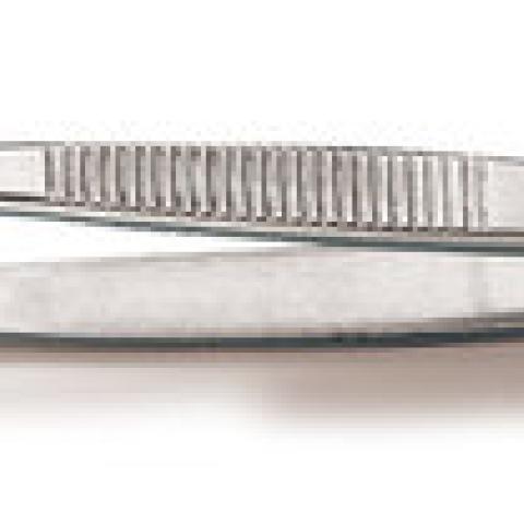Forceps, straight, blunt, anatomical, made of Remanit 4301, length 160 mm