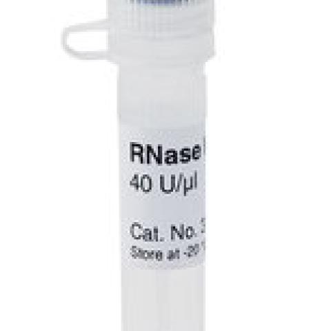 RNAse Inhibitor, 40 U/µl,, for Biochemistry and Molecular Biology, 50 µl