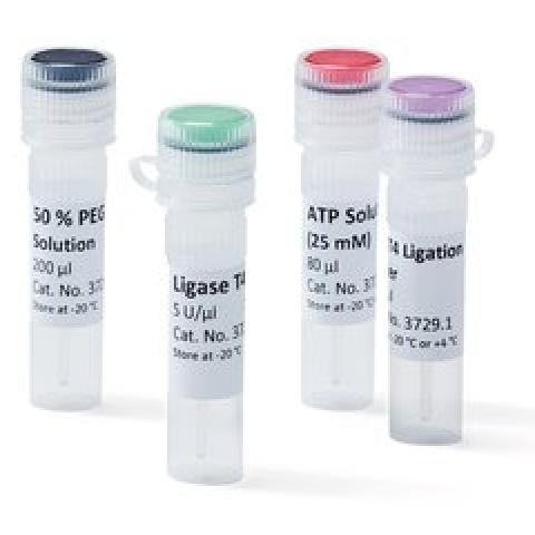 Ligase T4, 5 U/µl, for Molecular Biology, 500 µl, plastic