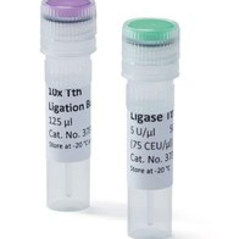 Ligase Tth, 5 U/µl, for Molecular Biology, 50 µl, plastic
