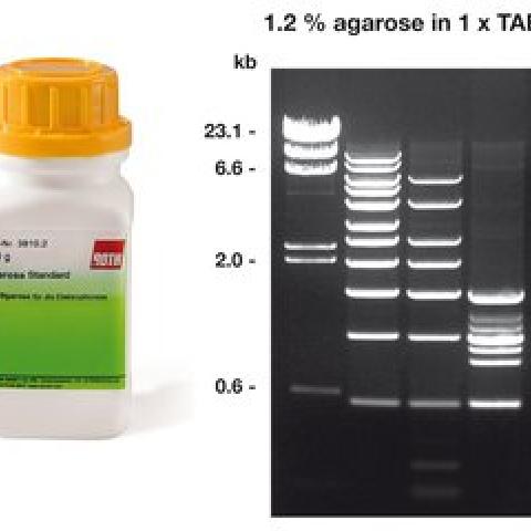 Agarose Standard ROTI®Garose, for DNA/RNA-electrophoresis, 100 g, plastic