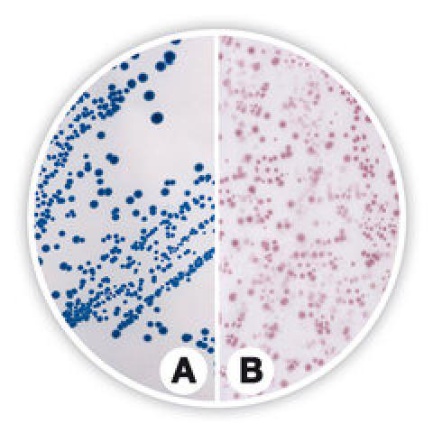 Coliforms chromogenic Agar (ISO), ISO 9308-1, ISO 11133, for microbiology, 500 g