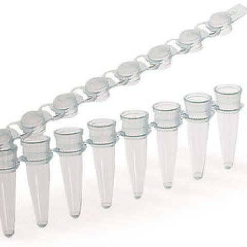 PCR-strips 8 tubes, PP, blue, with attached lid, 125 unit(s)