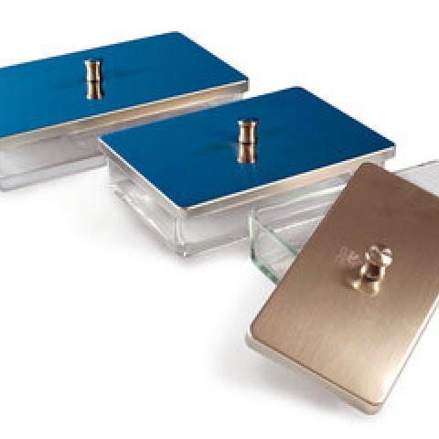 Glass instrument tray, L 120 x W 60 x H 40 mm, 1 unit(s)