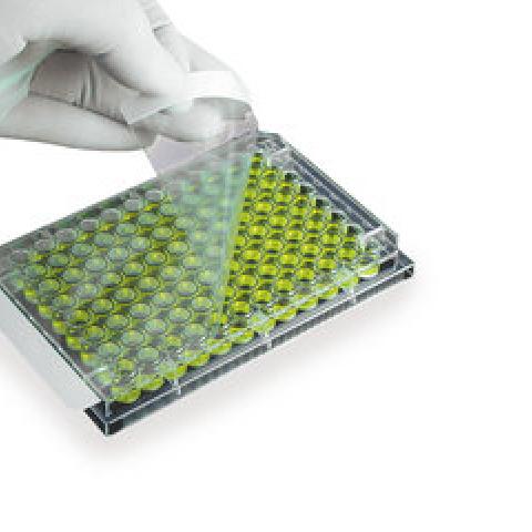Sealing film for microtest plates Polyester, Non-sterile, 25 µm