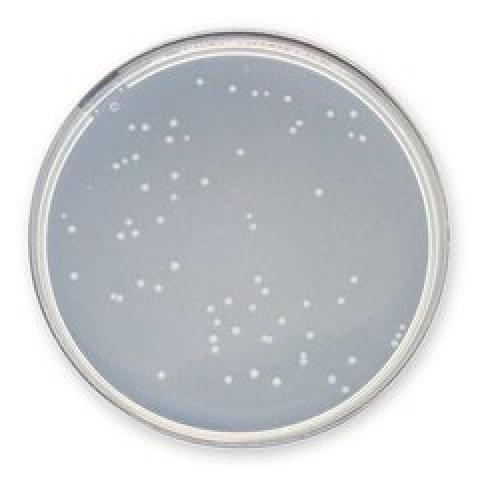 Plate Count Agar , APHA, ISO 4833,2003, ISO 11133, ISO 4833,2003, APHA, 2.5 kg