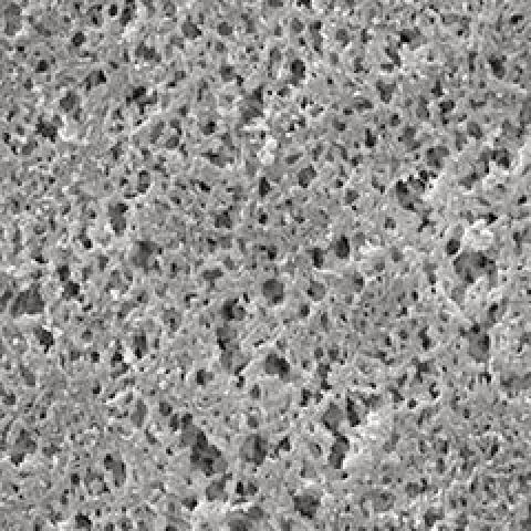 Nylon membrane filter, pore size 0,20 µm, membrane Ø 25 mm, 100 unit(s)